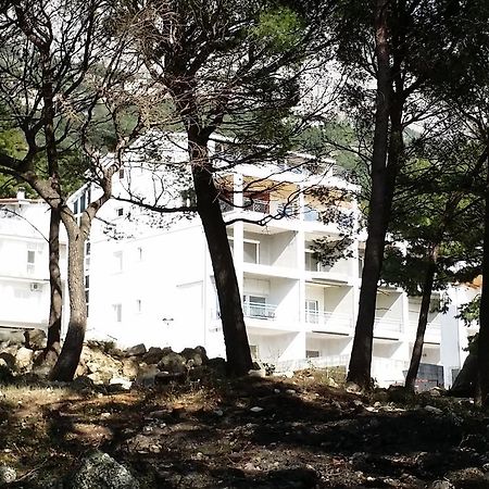 Apartments Lucija Brela Exterior photo